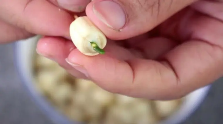 cách nấu xôi hạt sen