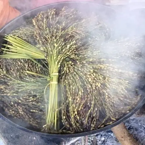 Cách Nấu Xôi Khẩu Hang: Bí Quyết Đồ Xôi Thơm Dẻo, Chuẩn Vị Cốm Non