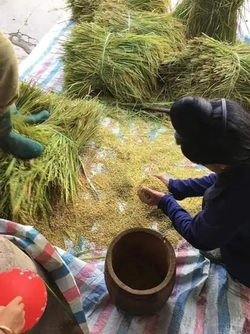 Cách Nấu Xôi Khẩu Hang: Bí Quyết Đồ Xôi Thơm Dẻo, Chuẩn Vị Cốm Non