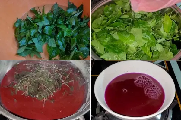 cách nấu xôi lá cẩm