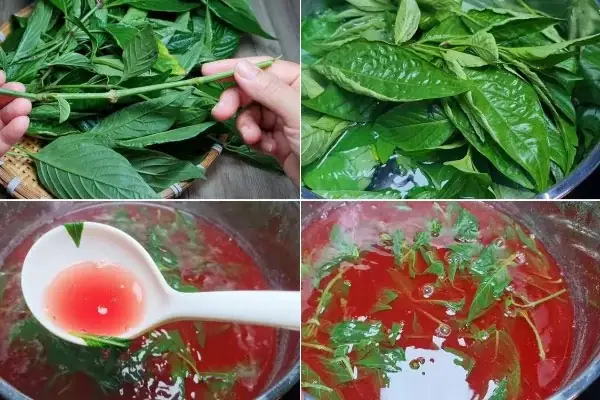 cách nấu xôi lá cẩm