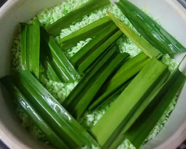 Hướng Dẫn Chi Tiết Cách Nấu Xôi Lá Dứa Bằng Nồi Cơm Điện Tại Nhà Hướng Dẫn Chi Tiết Cách Nấu Xôi Lá Dứa Bằng Nồi Cơm Điện Tại Nhà