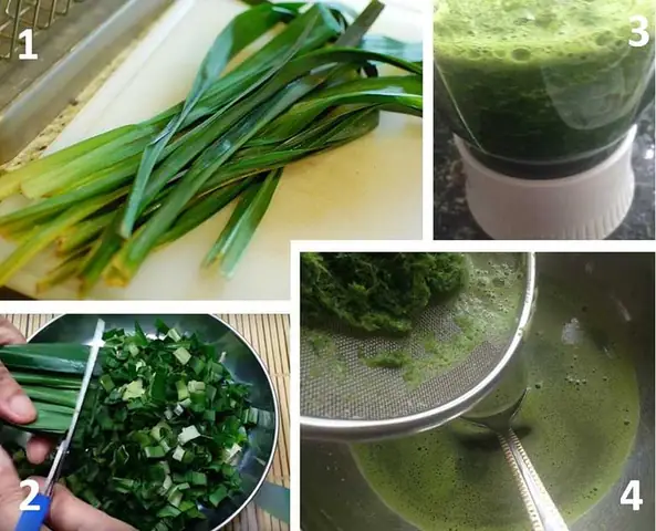 Hướng Dẫn Chi Tiết Cách Nấu Xôi Lá Dứa Bằng Nồi Cơm Điện Tại Nhà Hướng Dẫn Chi Tiết Cách Nấu Xôi Lá Dứa Bằng Nồi Cơm Điện Tại Nhà