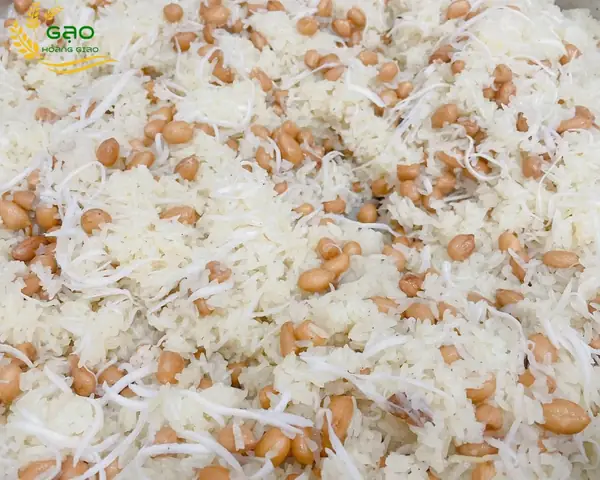 Cách Nấu Xôi Lạc Dừa Ngon Dẻo Thơm Chuẩn Vị Tại Nhà Cách Nấu Xôi Lạc Dừa Ngon Dẻo Thơm Chuẩn Vị Tại Nhà