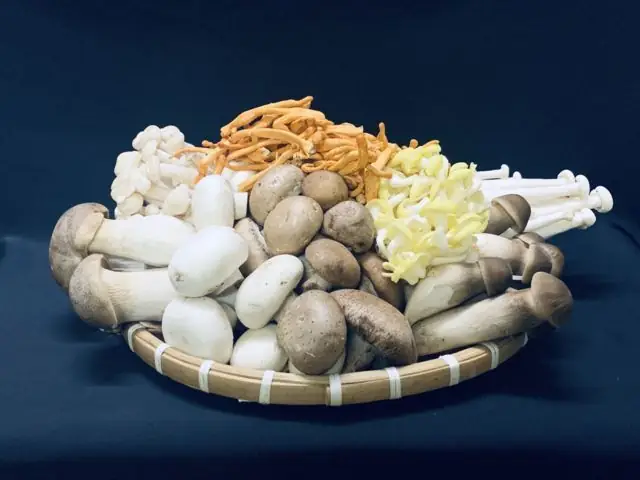 Xôi Nấm Mối Đen - Món ăn ngon không thể thiếu trong ngày chay