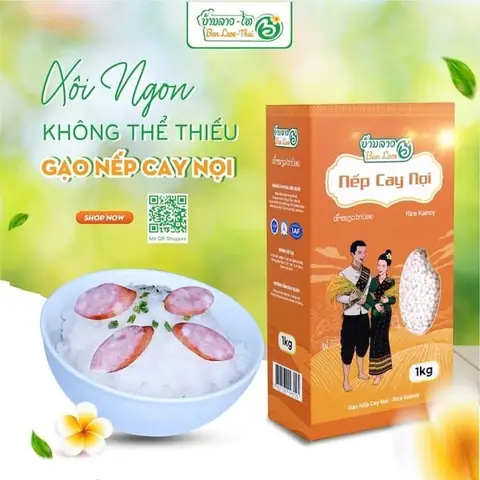 Cách Nấu Xôi Nếp Lào Bằng Nồi Cơm Điện Chuẩn Vị Tại Nhà Cách Nấu Xôi Nếp Lào Bằng Nồi Cơm Điện Chuẩn Vị Tại Nhà