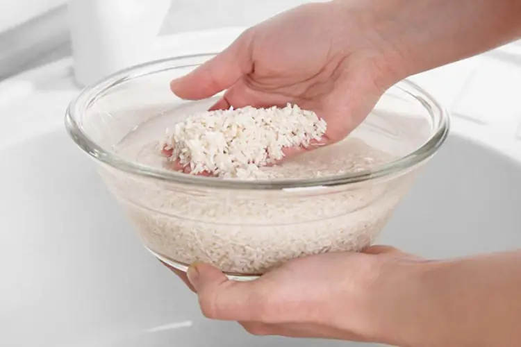 cách nấu xôi nước cốt dừa