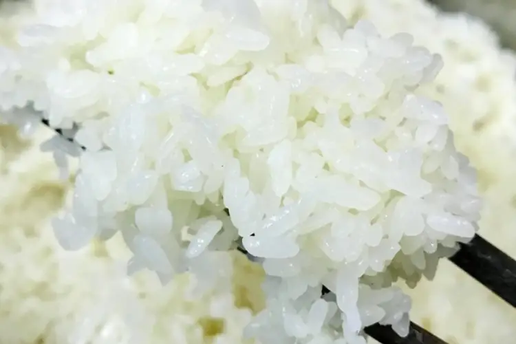 cách nấu xôi nước cốt dừa