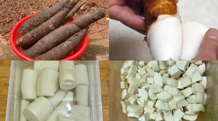 Cách Nấu Xôi Sắn Mỡ Hành Thơm Ngon Dẻo Bùi Chuẩn Vị SaiGon