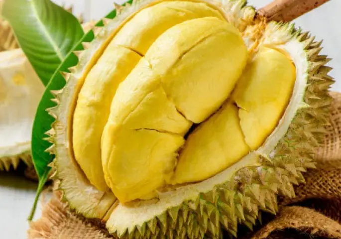 Cách Nấu Xôi Sầu Riêng Bằng Nồi Cơm Điện Thơm Ngon, Dễ Làm