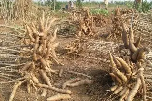 Cách Pha Bột Năng Nấu Súp Sệt Mượt, Không Vón Cục