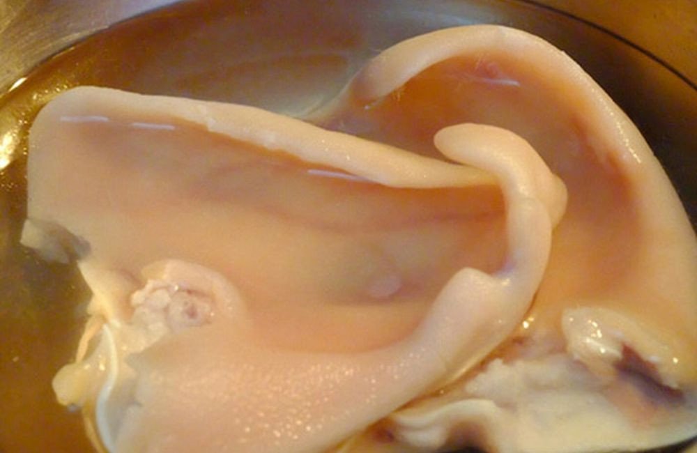 Cách sơ chế tai heo sạch, giòn làm gỏi ngó sen tôm thịt