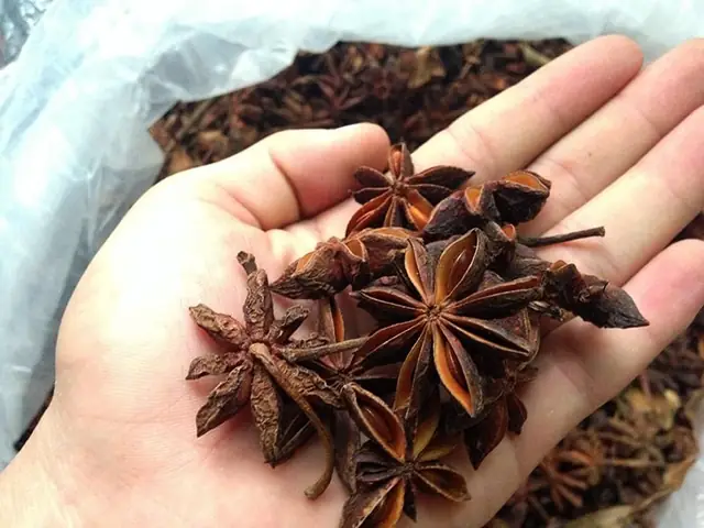 Trong chăm sóc sức khỏe