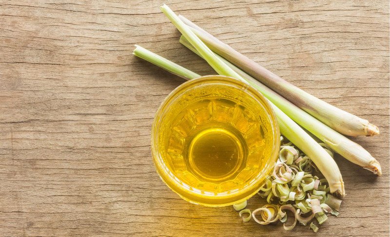 cách uống nước sả đúng liều lượng và thời điểm