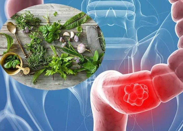 Cần thận trọng khi sử dụng thảo mộc lá nam 10 vị