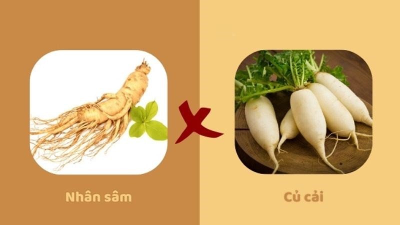 Cần tránh kết hợp củ cải đỏ với một số thực phẩm đặc biệt