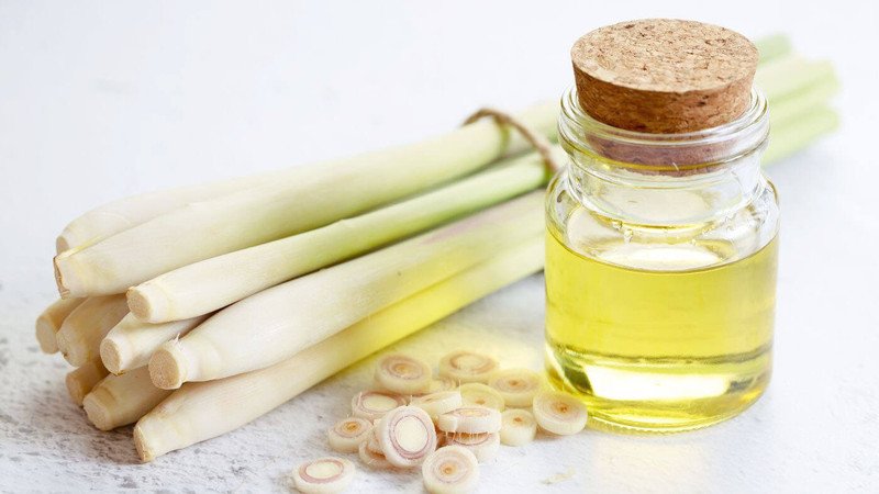 Cắt lát củ sả tươi để chuẩn bị cho cách nấu tinh dầu sả tại nhà, xua đuổi côn trùng hiệu quả.