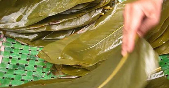 Chần lá dong để gói bánh gio mật mía