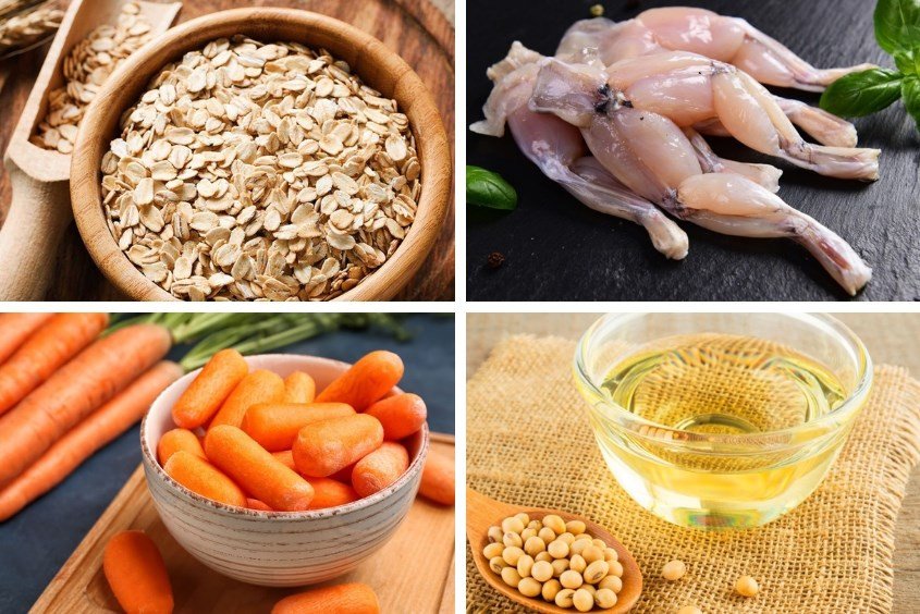 Cháo ếch yến mạch cà rốt cho bé sáng mắt