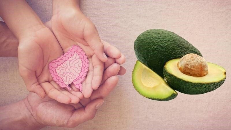 Chén salad đầy màu sắc với bơ sáp cắt khối, tượng trưng cho thực phẩm giàu chất xơ tốt cho đường ruột