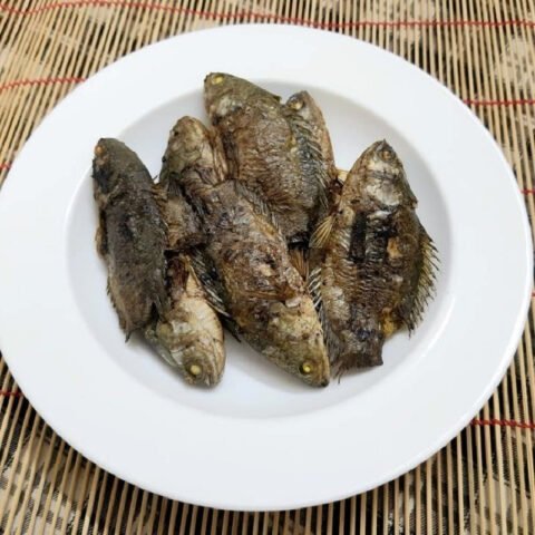 Chon ca ro dong tuoi ngon