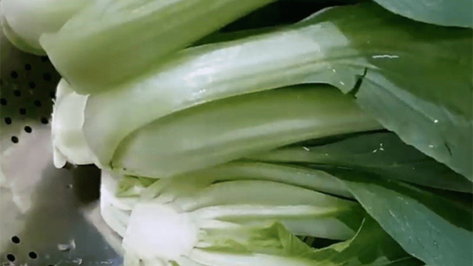 Chọn cải thìa tươi ngon với lá xanh, cuống trắng để xào