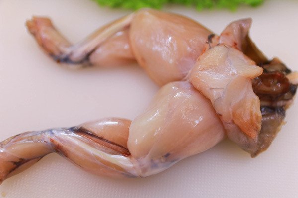 Chọn ếch đồng tươi sống