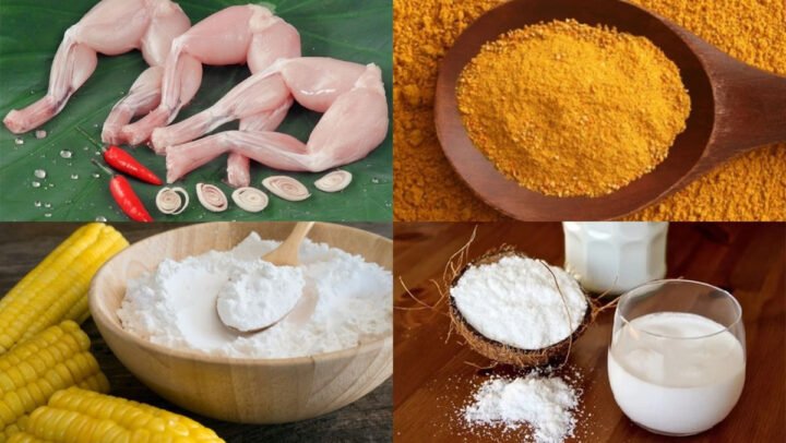 Chọn ếch tươi ngon để nấu cà ri ếch