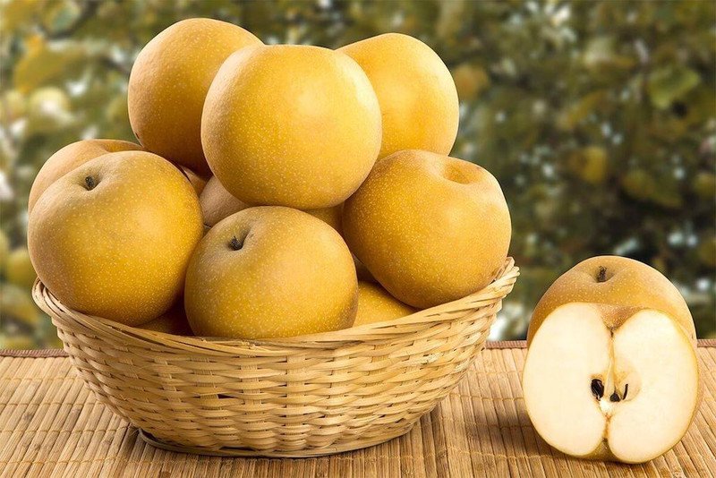 Chọn quả lê tươi ngon để có cách nấu nước lê táo đỏ cho bé đạt hiệu quả tốt nhất