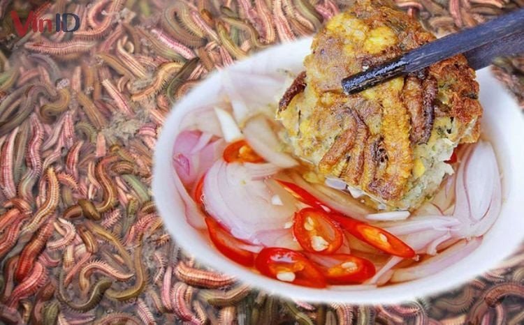 Chọn rươi tươi sống, chất lượng cao để món cách nấu rươi với trứng thêm phần tuyệt hảo