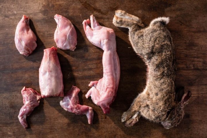 Chọn thỏ sống tươi ngon để làm thịt