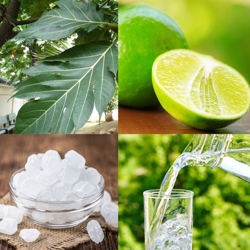 Chuẩn bị nguyên liệu làm nước lá sake, gồm lá sake tươi và chanh