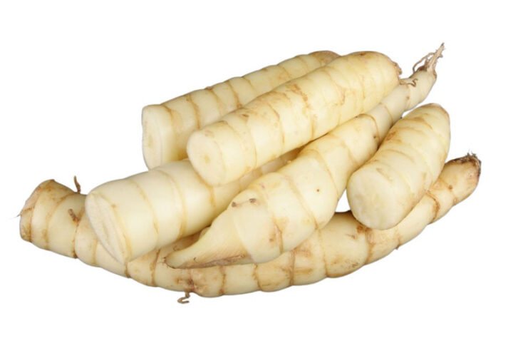 Củ bình tinh tươi sau khi thu hoạch