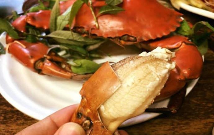 Cua biển hấp chín và tách thịt cua nguyên miếng