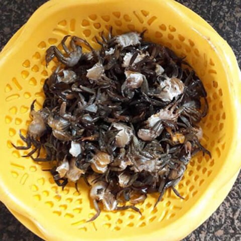 Cua đồng tươi sống chuẩn bị làm lẩu riêu cua