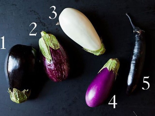 Đa dạng các loại cà tím với nhiều màu sắc và hình dạng, cung cấp nguồn dinh dưỡng phong phú.