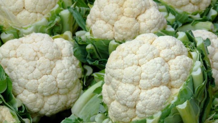 Đầu bông cải trắng tươi ngon, biểu tượng cho thực phẩm ít calo