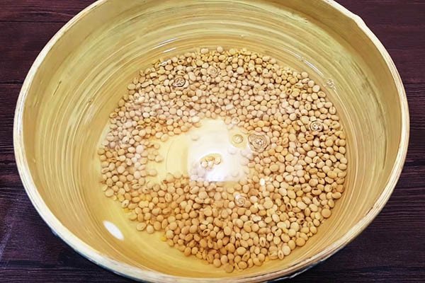Đậu nành sau khi ngâm nước