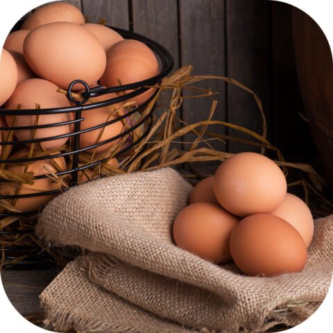 Đĩa trứng chiên thịt bằm nóng hổi thơm ngon