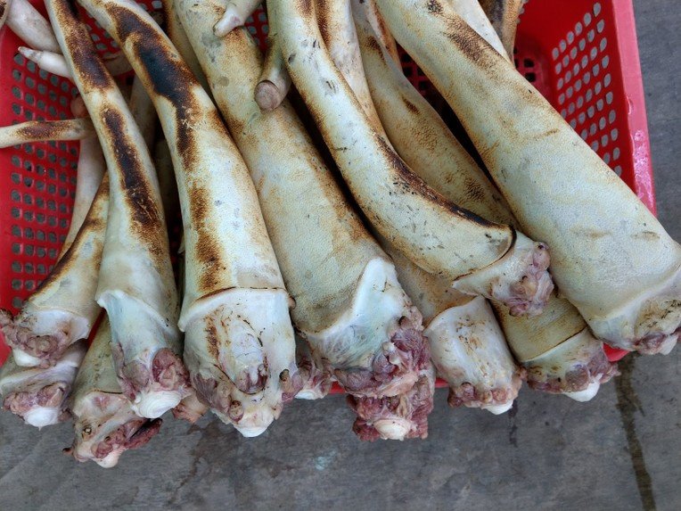 Đuôi bò được thui sơ qua lửa giúp loại bỏ mùi hôi hiệu quả