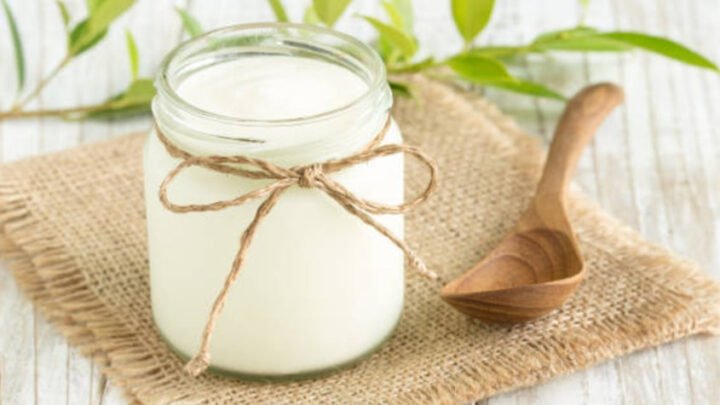 Giá trị calo trong sữa chua không đường, thông tin dinh dưỡng cần biết