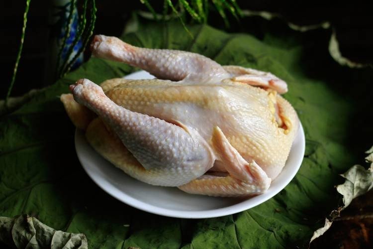 Gợi ý cách chọn gà tươi ngon cho món mì gà