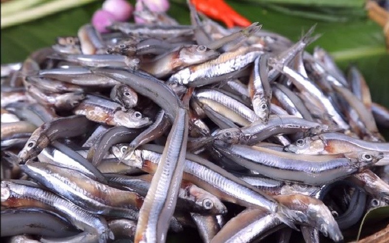 Hàm lượng calo trong 100g cá cơm khô và các món ăn từ nó