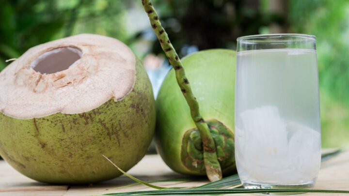 Hình ảnh quả dừa tươi giúp giải đáp 1 quả dừa bao nhiêu calo để kiểm soát cân nặng.