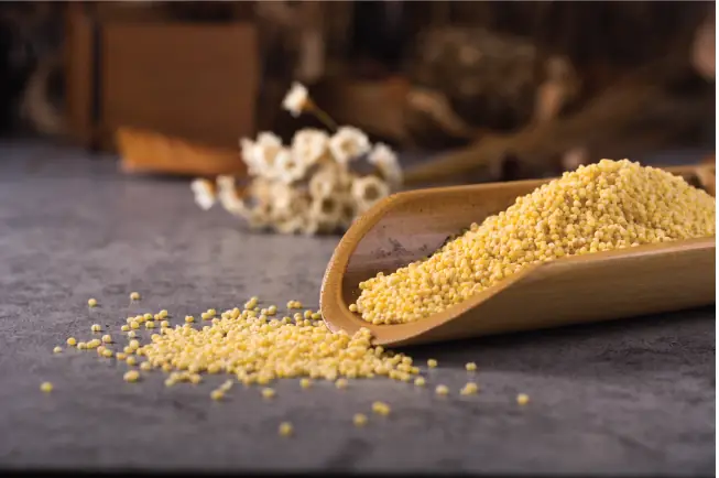 1. Hạt kê bổ dưỡng như thế nào?