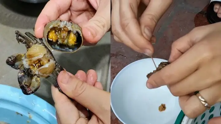Hướng Dẫn Cách Nấu Canh Cua Ngon Ngọt, Chuẩn Vị Tại Nhà Hướng Dẫn Cách Nấu Canh Cua Ngon Ngọt, Chuẩn Vị Tại Nhà