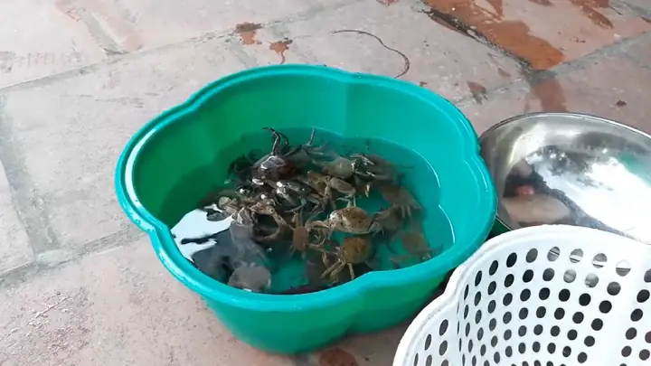 Hướng Dẫn Cách Nấu Canh Cua Ngon Ngọt, Chuẩn Vị Tại Nhà Hướng Dẫn Cách Nấu Canh Cua Ngon Ngọt, Chuẩn Vị Tại Nhà