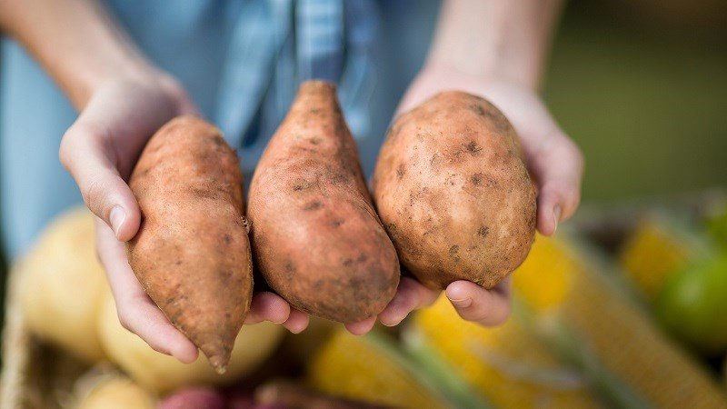 Hướng dẫn chọn mua khoai lang ngon để hấp