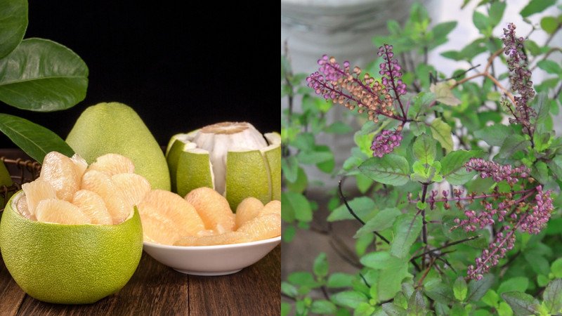 Kết hợp vỏ bưởi và hương nhu để tạo nước gội đầu tự nhiên