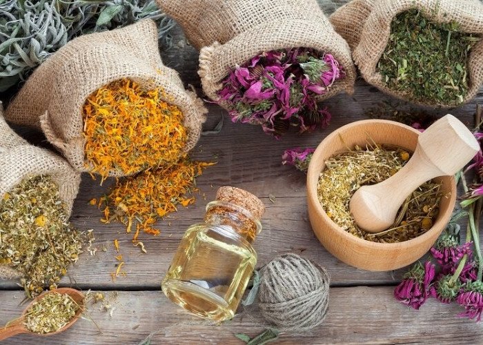 Không tự ý điều chỉnh liều lượng khi nấu trà lá nam 10 vị